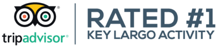 tripadvisor® | Rated #1 Key Largo Activity