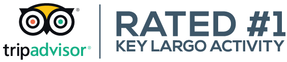 tripadvisor® | Rated #1 Key Largo Activity