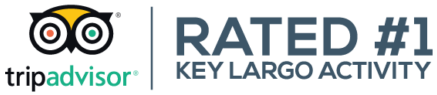 tripadvisor® | Rated #1 Key Largo Activity